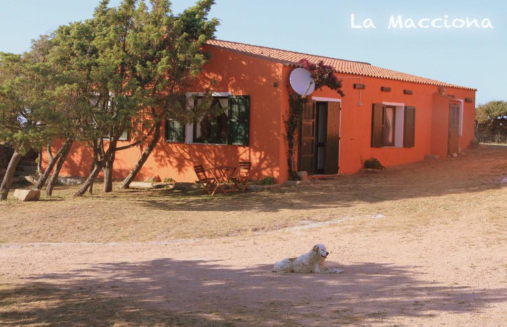 דירות אגליאנטו La Macciona מראה חיצוני תמונה